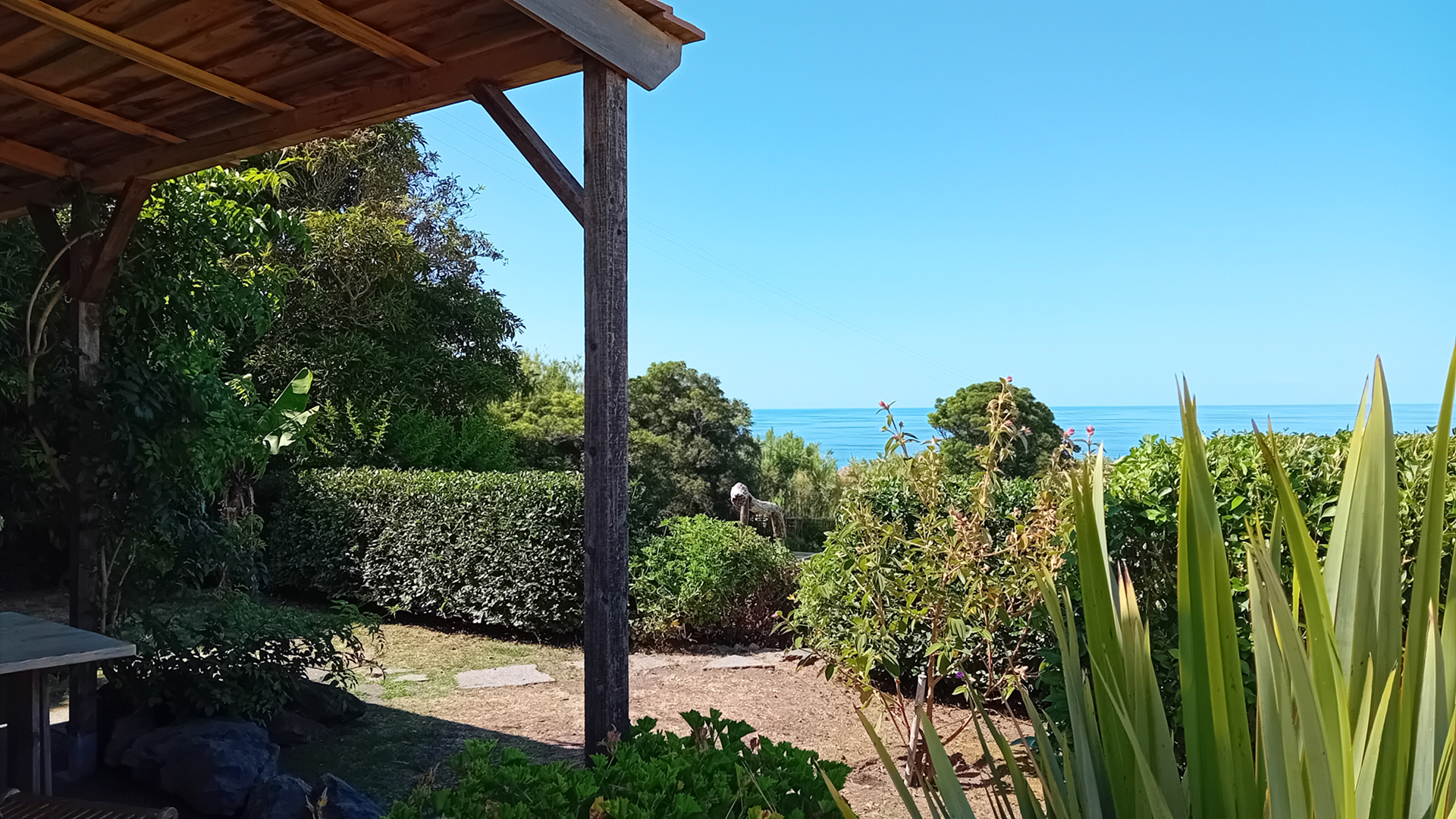 B&B views